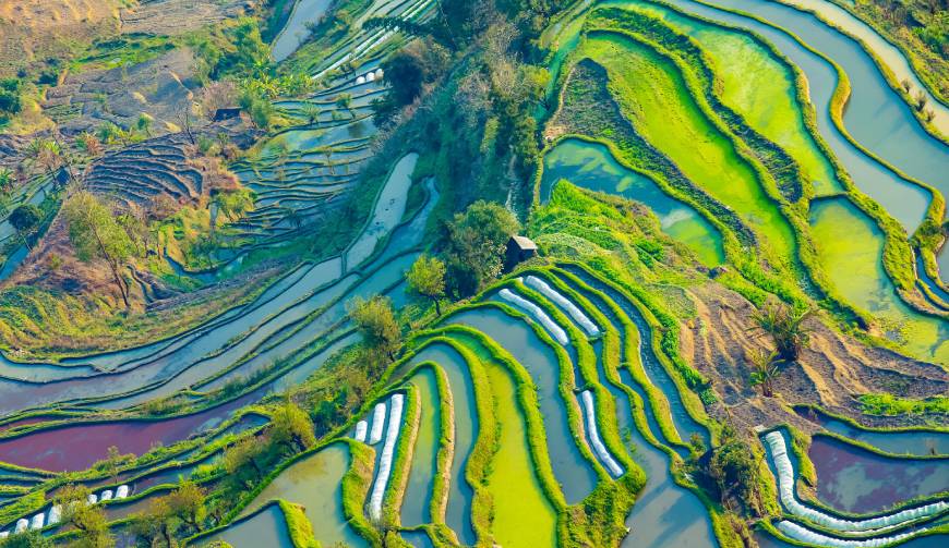 走进鄂城区TVC拍摄：解锁本地化场景与创意镜头的完美融合